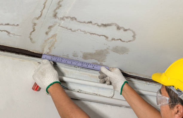 Reliable Basement Water Removal contractor in Andover, KS by Water Damage Irwin